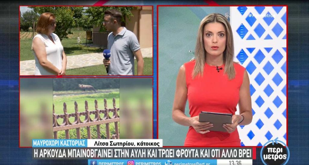 ark-ertmavroxori-sotiriou
