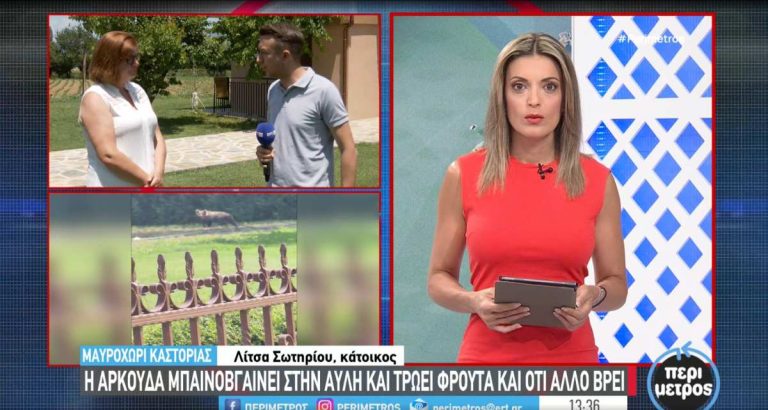 ark-ertmavroxori-sotiriou