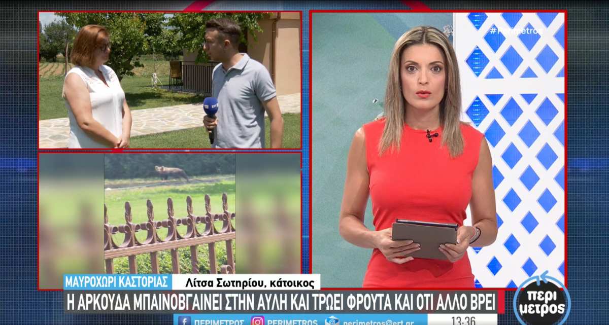ark-ertmavroxori-sotiriou