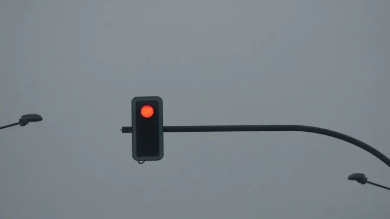 ee2b0f2b-5584214